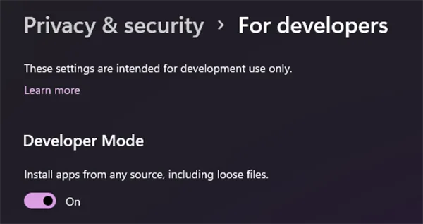 Developer Mode Windows