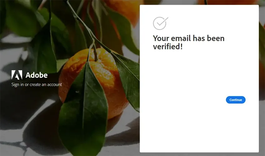 Verify tài khoản Adobe Creative Cloud for Teams